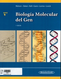 Biología molecular del gen 