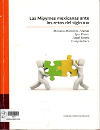 Las Mipymes mexicanas ante los retos del siglo XXI 